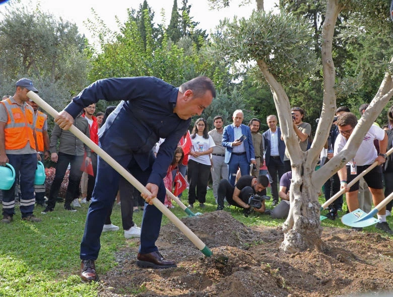 Başkan Böcek gençlerle barış için zeytin ağacı dikti