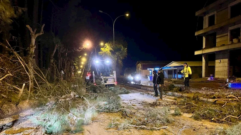 Kahramanmaraş’taki Fırtına Saatte 95 Kilometre Hıza Ulaştı