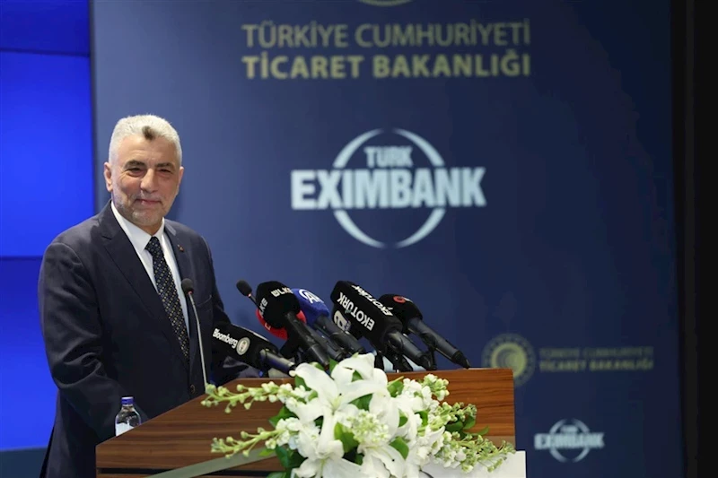 Bakan Bolat, Türk Eximbank