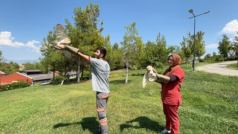 Büyükşehir ile özgürlüğe kanat çırptılar