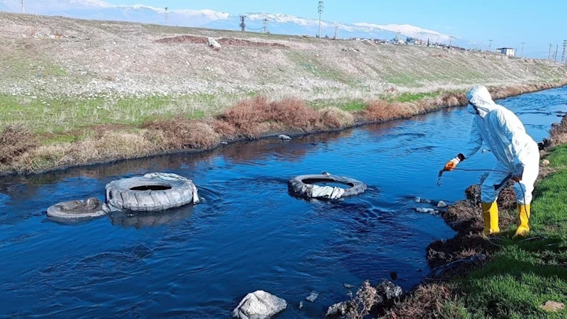 Büyükşehir, Halk Sağlığı İçin Zararlılarla Mücadelesini Kararlılıkla Sürdürüyor